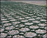 Газонные решетки Газонные решетки